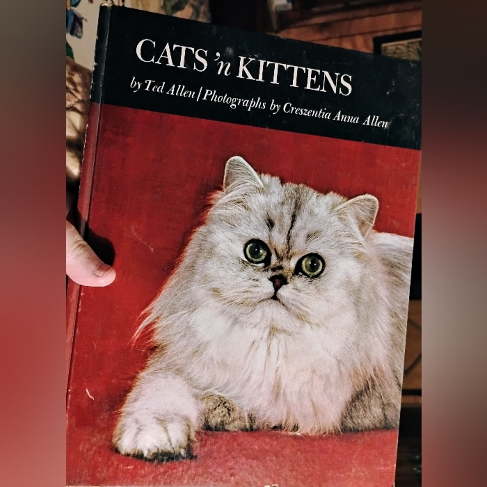 Vintage Cats 'n Kittens Book